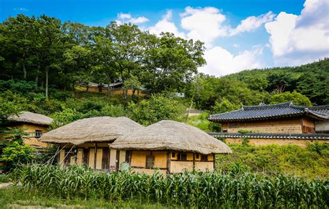 Rural Village In South Korea Image Free Stock Photo
