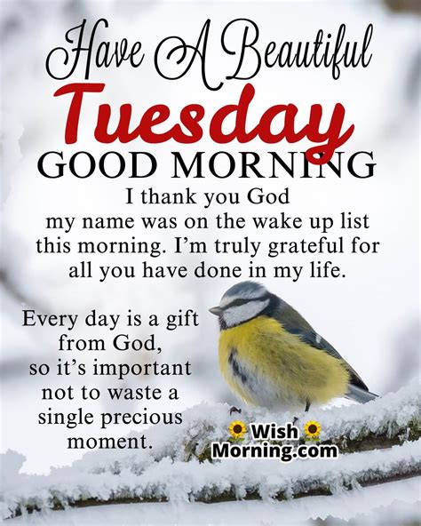 Best Tuesday Morning Quotes Wishes Wish Morning