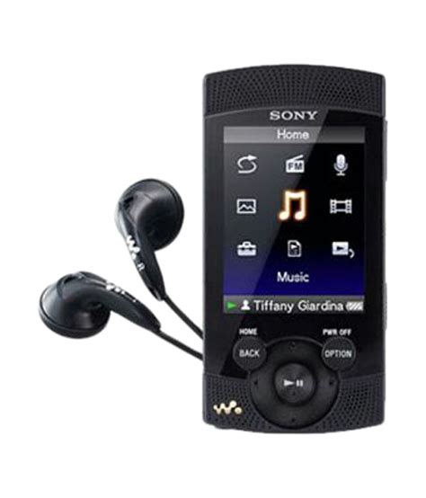 Buy Sony Nwz S543 4gb Video Walkman Mp4 Player Black Online At Best