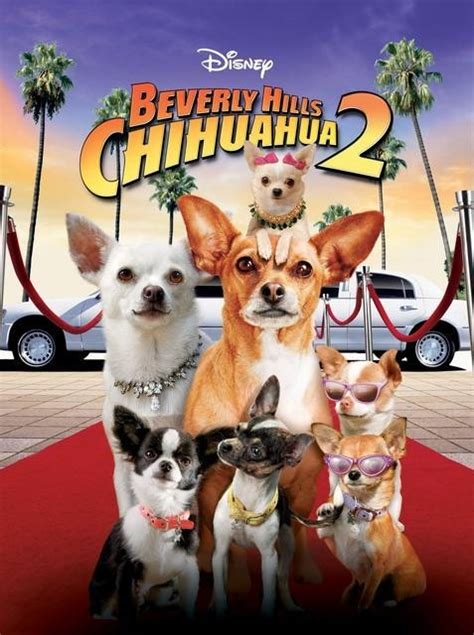 With cindy williams, david rasche, robert j. Beverly Hills Chihuahua 2 (Video 2011) - IMDb