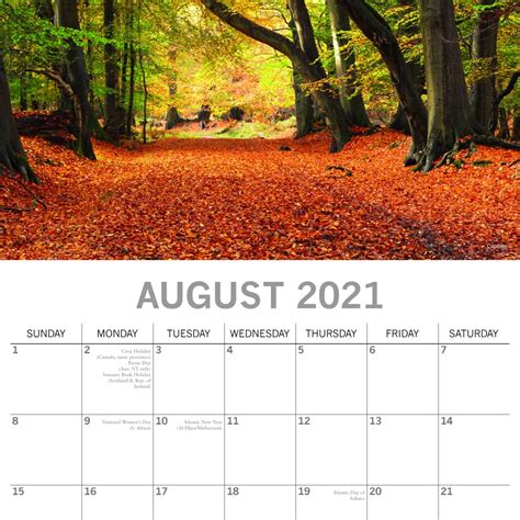 2021 Calendar Featuring Photographs Of Woodland Scenes Barnardos