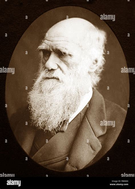 Charles Darwin Fotografías E Imágenes De Alta Resolución Alamy