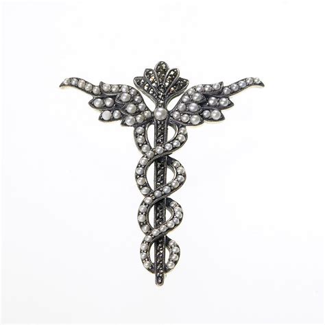 Medical Caduceus Pin Fashion Jewelry Jewelry Online Jewelry Store