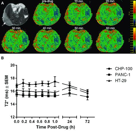 Bold Mri Of 3 Tumor Models A Anatomic Reference Images And Example