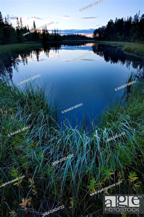 Sweden Lapland Lake Shore Landscape Evening Mood Stock Photo