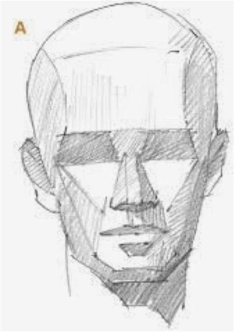 Drawing The Human Head Drawing Heads Life Drawing Drawing Drawing