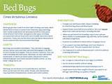 Pictures of Bed Bug Treatment Preparation Checklist