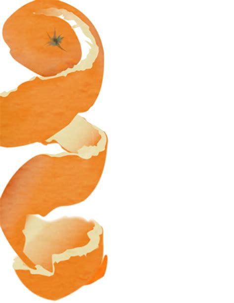 Orange Peel Elaine Fleming