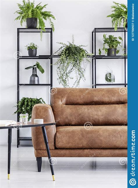 Plants On Shelves In White Modern Living Room Interior