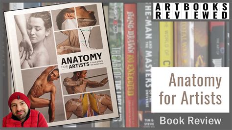 Anatomy For Artists A Visual Guide To The Human Form Book Review Youtube