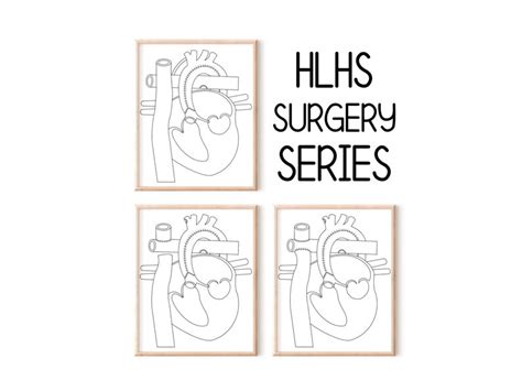 Hlhs Surgery Series 3 Digital Files Simple Black And White Etsy