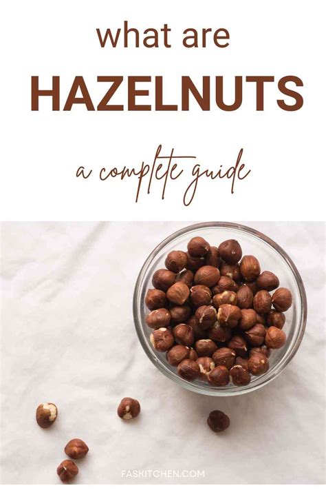 Hazelnut 101 Nutrition Benefits How To Use Buy Store Hazelnuts