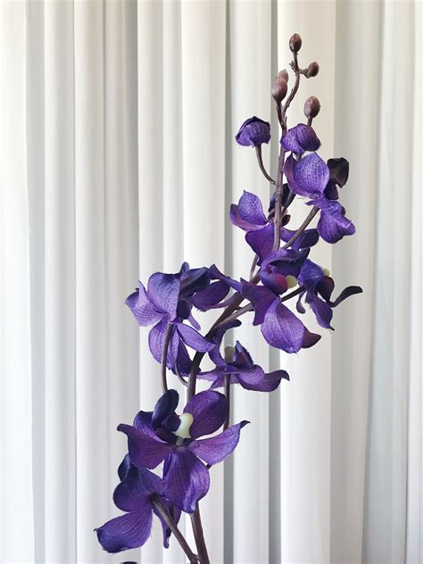 silk orchid purple all occasions rentals