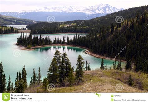 Emerald Lake Yukon Canada Stock Images Image 12737654