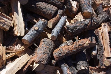 Pile Of Fire Wood Free Stock Photo Public Domain Pictures