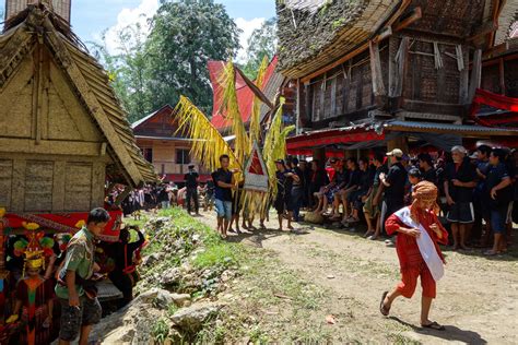 Tana Toraja Funeral Ceremony Coffin Parade Through The Village