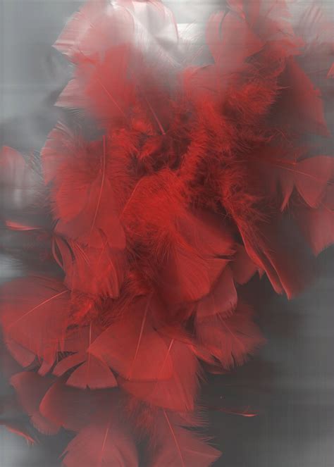 Red Feathers 02 By The Night Bird On Deviantart