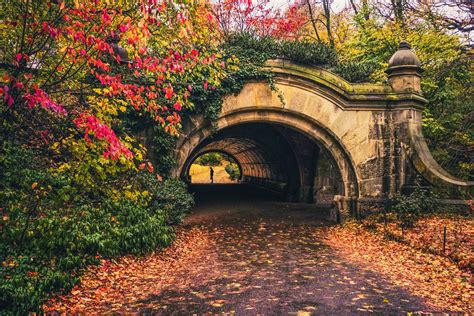 Wallpaper Leaves Garden Nature Park Bridge Arch Tree Autumn