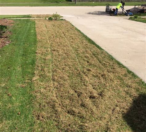 According to scott lawn and turf, fertilize your lawn after dethatching to help the lawn recover. Home and Garden | Lawn Dethatching Services | Power Raking Services