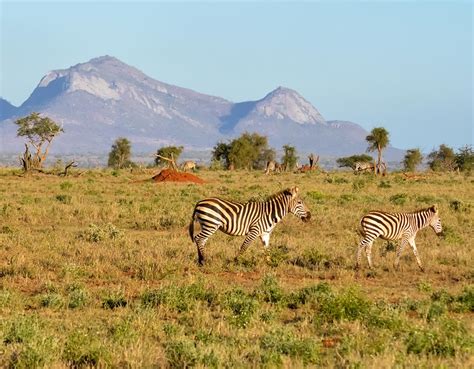 Kenya And Maasai Mara Grand Safari Great Rail Journeys