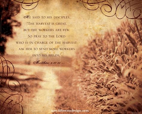 Matthew 9 — The Harvest Life Verse Design