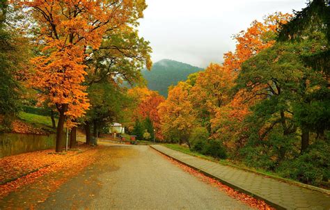 Wallpaper Road Autumn Trees Mountain Street Fall Foliage