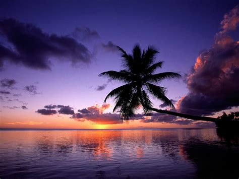 Download Tropical Island Beach Scenery Sunset Wallpaper By