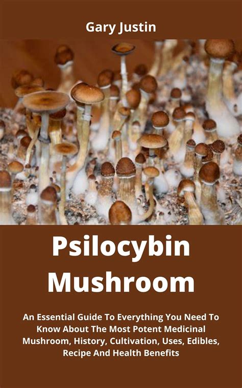 Buy Psilocybin Mushroom An Essential Guide To Everything You Need To