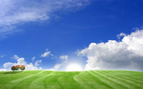 1280x768 Resolution Green Grass Field Under Sunny Blue Sky Hd
