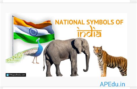National Symbols Of India Depict The Countrys Image And Have Been Chosen Very Carefully Apedu