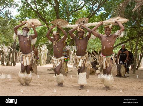 los guerreros zulú realizar baile de bienvenida fotografía de stock alamy