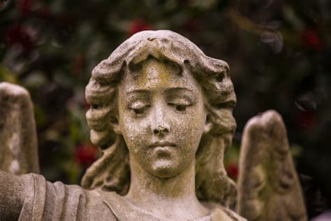 Statue Of Angel Face Free Stock Photo Public Domain Pictures