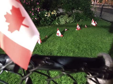 Bunch Of Canadian Flags For Canada Day Rvexillology