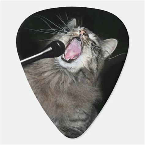 Singing Cat Guitar Pick Zazzle