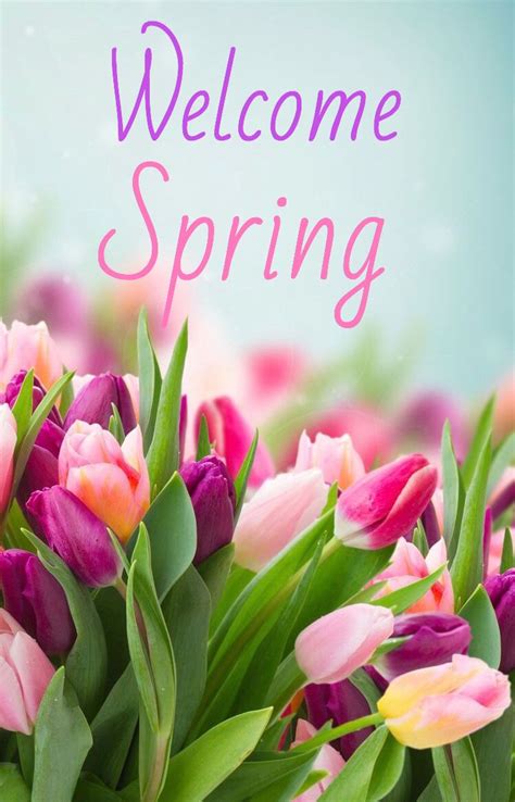 Welcome Spring Happy Spring Day Welcome Spring Hello Spring Wallpaper