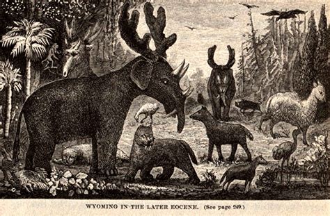 Antlered Elephants And Other North American Prehistoric Fauna From