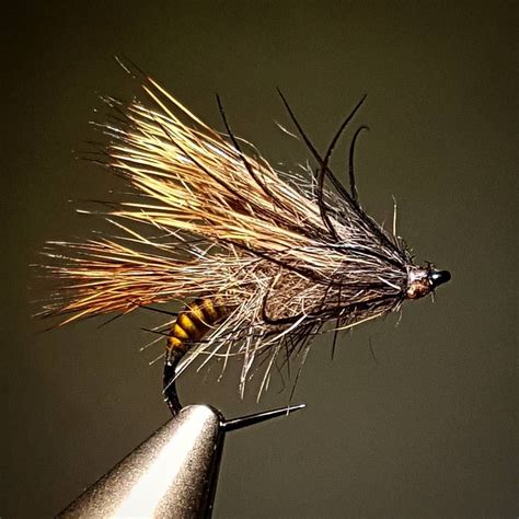 Fishing Life Gone Fishing Best Fishing Caddis Flies Fly Fishing