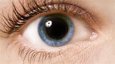 Why Do Your Pupils Get Larger When Youre On Drugs Gizmodo Australia