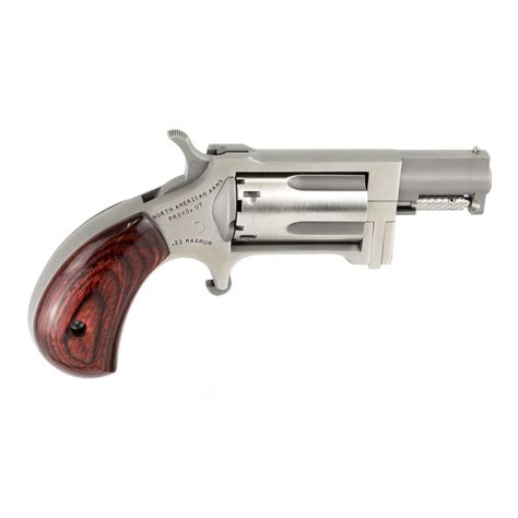Naa Swc Sidewinder 22 Lr22 Mag 5rd 150 Stainless Rosewood Birds