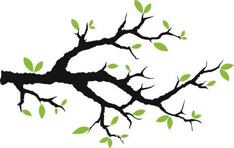Image Of Tree Branch Clipart Best