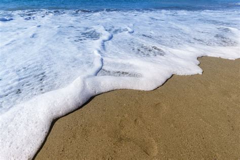 Foamy Wave On Beach Stock Photo Image Of Seaside Ocean 32964812