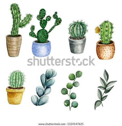 Watercolor Illustration Cacti Stock Illustration 1324147625 Shutterstock