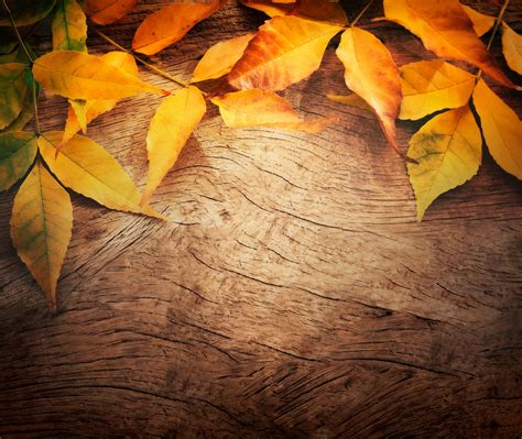 Wooden Background With Autumn Leaves Wooden Background Autumn Leaves