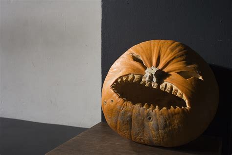 Which is where movies for grownups comes in. Nine must-see movies to watch this Halloween - The ...