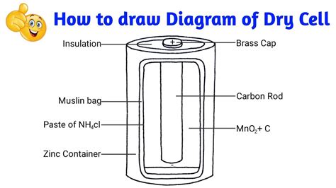 Draw A Neat And Labelled Diagram Of A Dry Cell Class Chemistry Cbse Sexiz Pix