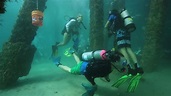 Deerfield Beach Pier Underwater Clean-Up 2018 - YouTube