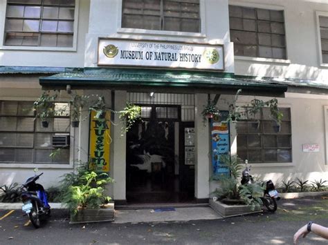 Uplb Museum Of Natural History In Los Banos Philippines