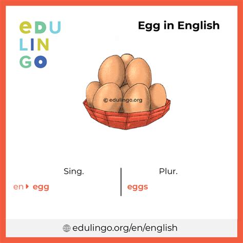 Egg In English • Writing And Pronunciation With Pictures