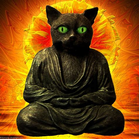 Buddha Cat By Fotomonta On Deviantart