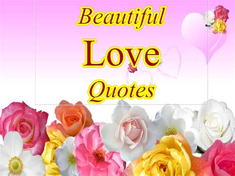Quotes That Start With N Quotesgram